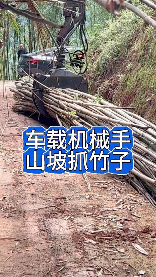 货车安装机械手,上坡抓竹子效率高